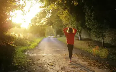 A person in a red sweater walks down a sunlit path, surrounded by trees with autumn leaves. The atmosphere is peaceful and serene.