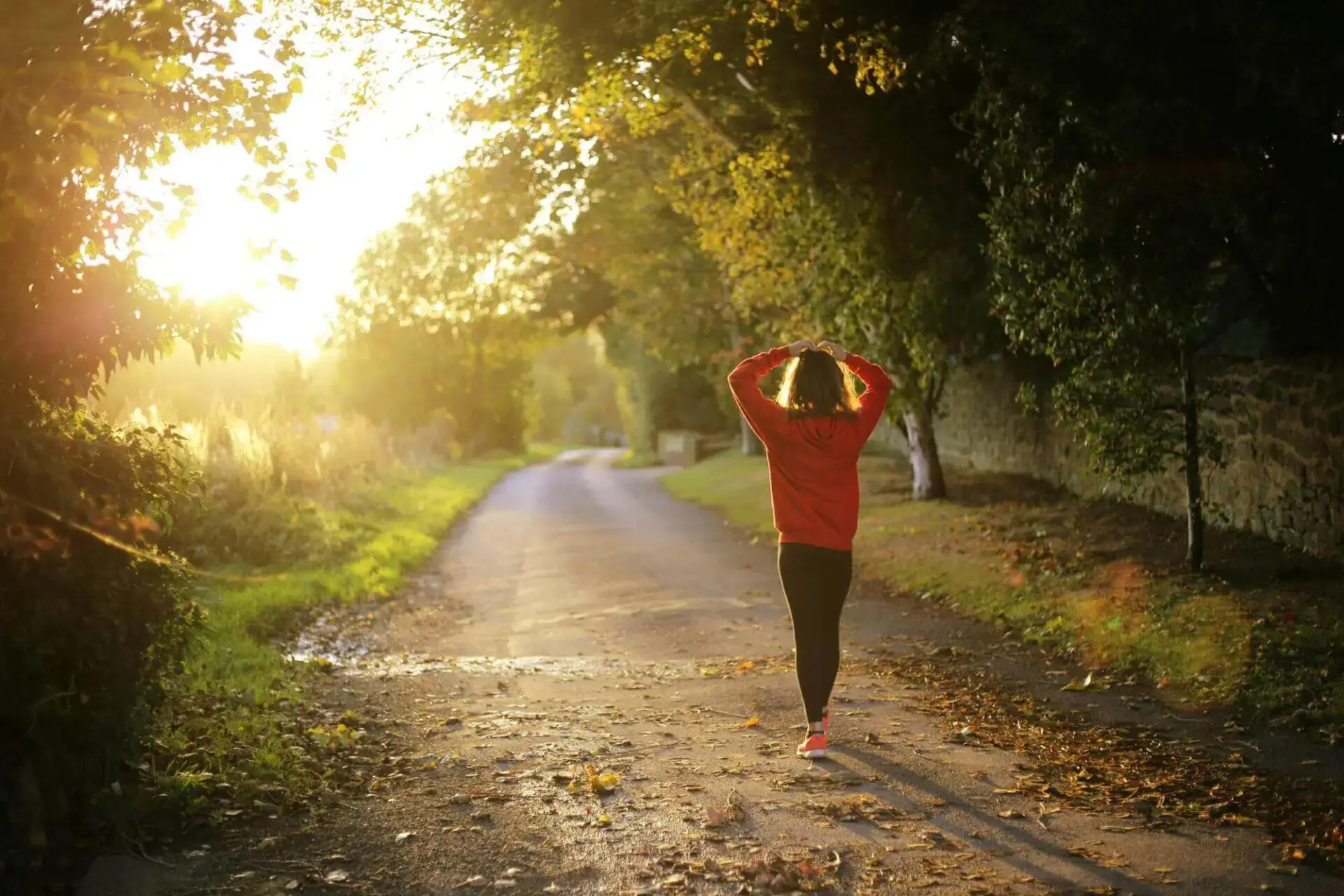A person in a red sweater walks down a sunlit path, surrounded by trees with autumn leaves. The atmosphere is peaceful and serene.