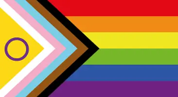 Progress Pride Flag featuring rainbow stripes for LGBTQ+ pride, with chevron including white, pink, blue, brown, black, and a yellow triangle with a purple circle.