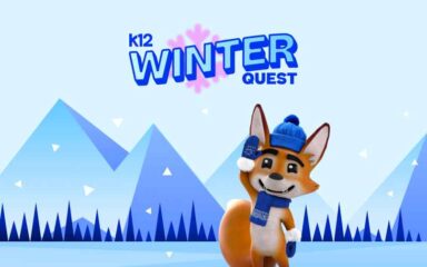 strider the fox winter image